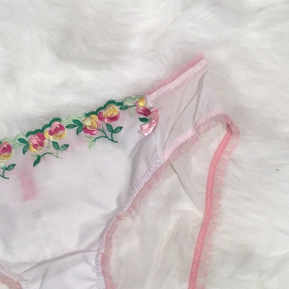 Large panty by blush - Picture 2 of 5